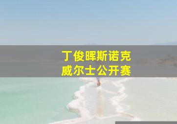 丁俊晖斯诺克威尔士公开赛