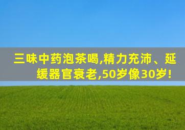 三味中药泡茶喝,精力充沛、延缓器官衰老,50岁像30岁!