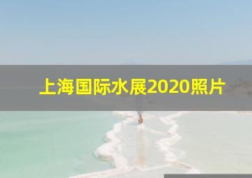 上海国际水展2020照片