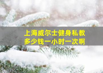 上海威尔士健身私教多少钱一小时一次啊