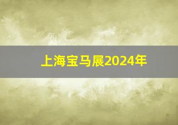 上海宝马展2024年