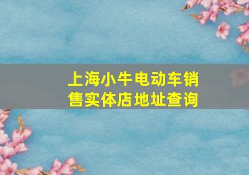 上海小牛电动车销售实体店地址查询