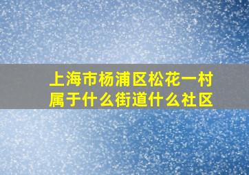 上海市杨浦区松花一村属于什么街道什么社区