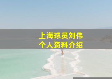 上海球员刘伟个人资料介绍