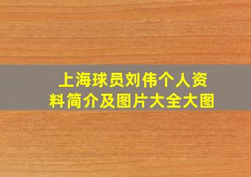 上海球员刘伟个人资料简介及图片大全大图