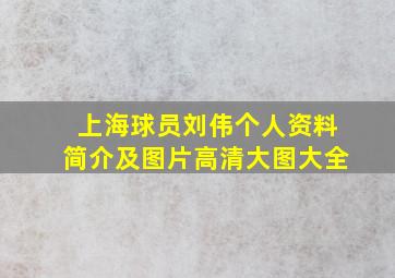 上海球员刘伟个人资料简介及图片高清大图大全