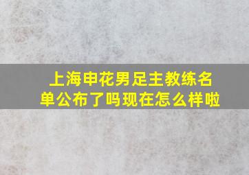 上海申花男足主教练名单公布了吗现在怎么样啦