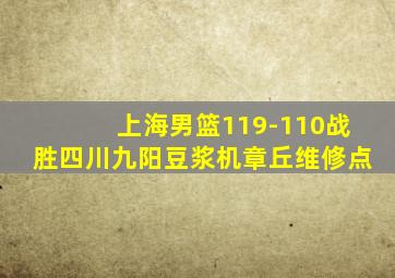 上海男篮119-110战胜四川九阳豆浆机章丘维修点