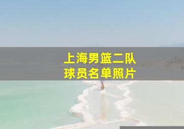 上海男篮二队球员名单照片