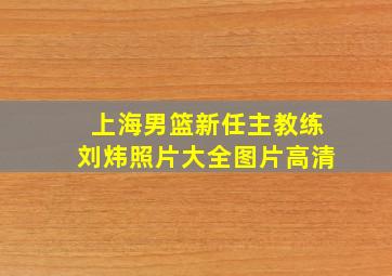 上海男篮新任主教练刘炜照片大全图片高清