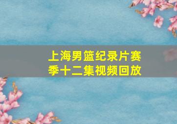 上海男篮纪录片赛季十二集视频回放