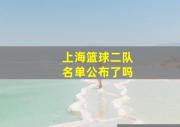 上海篮球二队名单公布了吗