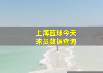 上海篮球今天球员数据查询