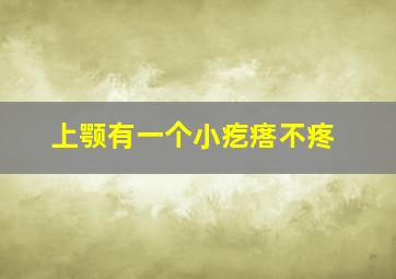 上颚有一个小疙瘩不疼