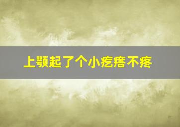 上颚起了个小疙瘩不疼