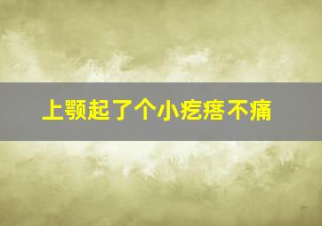 上颚起了个小疙瘩不痛