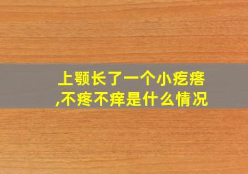 上颚长了一个小疙瘩,不疼不痒是什么情况