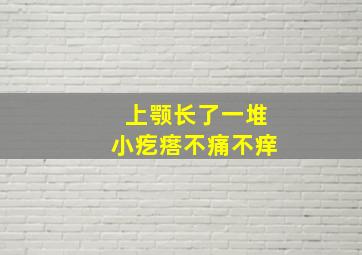 上颚长了一堆小疙瘩不痛不痒