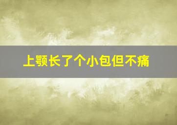 上颚长了个小包但不痛