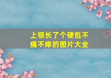 上颚长了个硬包不痛不痒的图片大全