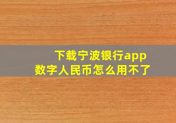 下载宁波银行app数字人民币怎么用不了