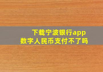 下载宁波银行app数字人民币支付不了吗