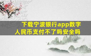 下载宁波银行app数字人民币支付不了吗安全吗