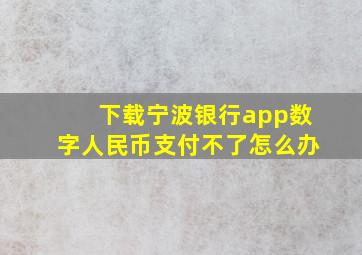 下载宁波银行app数字人民币支付不了怎么办