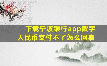 下载宁波银行app数字人民币支付不了怎么回事