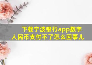 下载宁波银行app数字人民币支付不了怎么回事儿