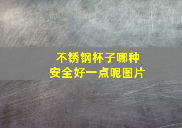 不锈钢杯子哪种安全好一点呢图片