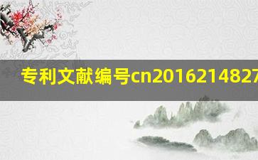 专利文献编号cn201621482739.1