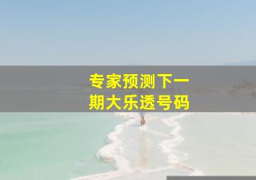 专家预测下一期大乐透号码