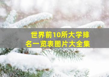 世界前10所大学排名一览表图片大全集