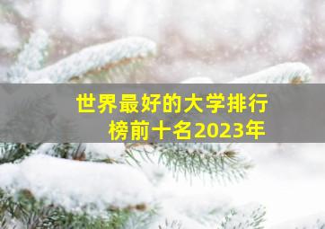 世界最好的大学排行榜前十名2023年