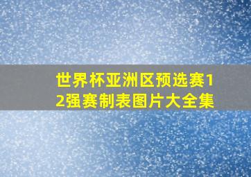 世界杯亚洲区预选赛12强赛制表图片大全集