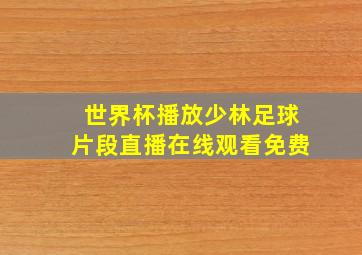 世界杯播放少林足球片段直播在线观看免费