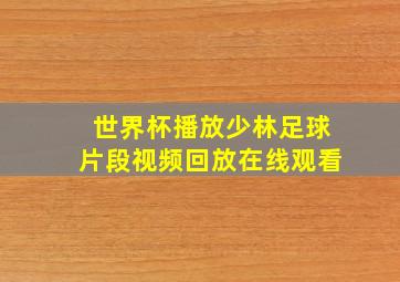 世界杯播放少林足球片段视频回放在线观看