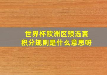 世界杯欧洲区预选赛积分规则是什么意思呀