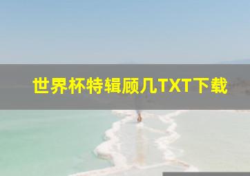 世界杯特辑顾几TXT下载