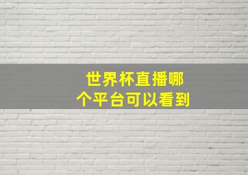 世界杯直播哪个平台可以看到