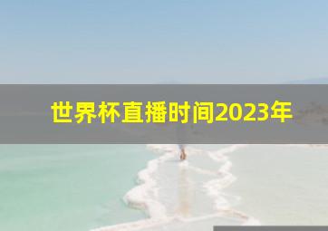 世界杯直播时间2023年