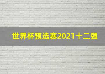 世界杯预选赛2021十二强