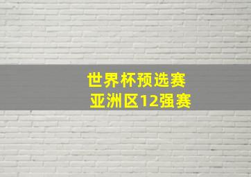 世界杯预选赛亚洲区12强赛