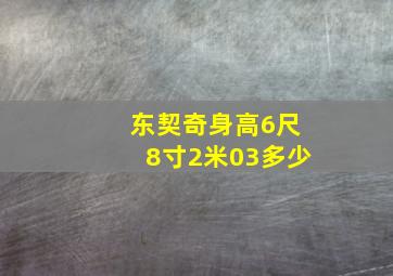 东契奇身高6尺8寸2米03多少