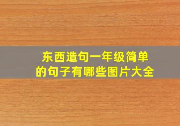 东西造句一年级简单的句子有哪些图片大全