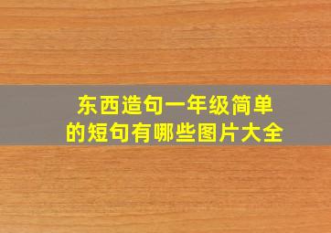 东西造句一年级简单的短句有哪些图片大全