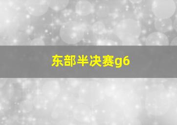 东部半决赛g6