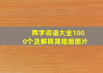 两字词语大全1000个及解释简短版图片