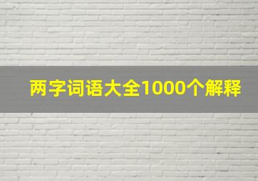 两字词语大全1000个解释